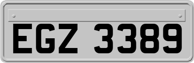 EGZ3389