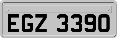 EGZ3390