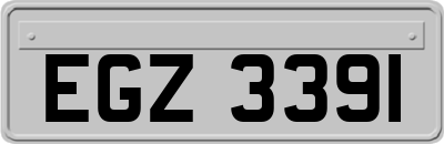 EGZ3391