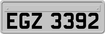 EGZ3392