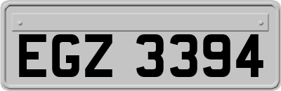 EGZ3394