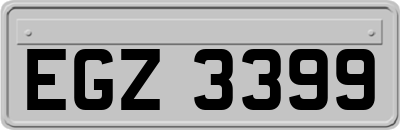 EGZ3399