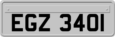 EGZ3401