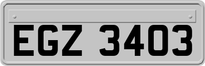 EGZ3403