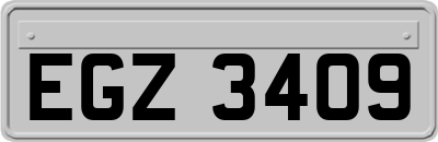 EGZ3409