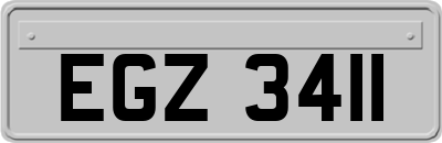 EGZ3411