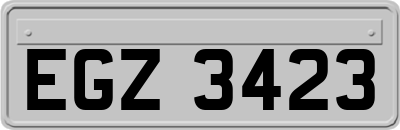EGZ3423