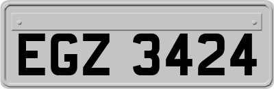 EGZ3424