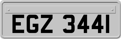 EGZ3441