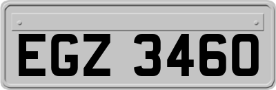 EGZ3460