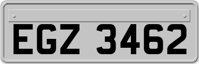 EGZ3462