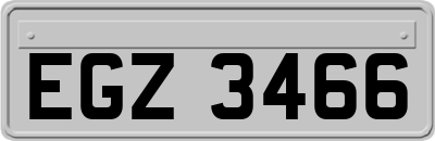 EGZ3466
