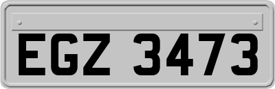 EGZ3473