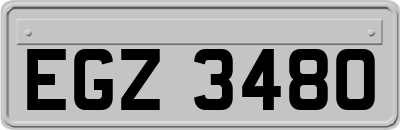 EGZ3480