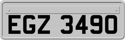 EGZ3490