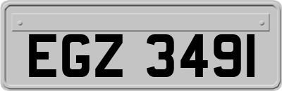 EGZ3491