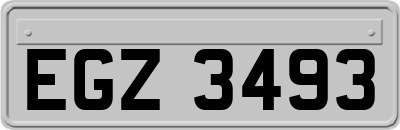 EGZ3493