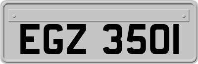 EGZ3501