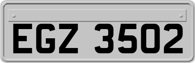 EGZ3502