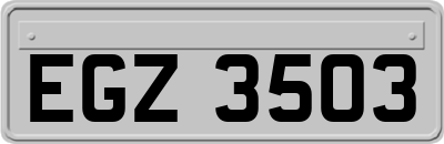 EGZ3503