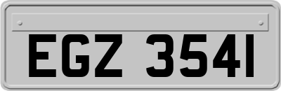 EGZ3541