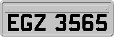EGZ3565