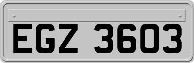 EGZ3603