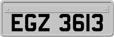 EGZ3613