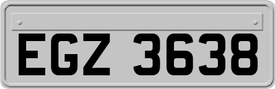 EGZ3638