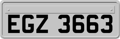 EGZ3663