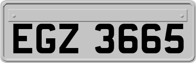 EGZ3665