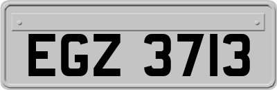 EGZ3713