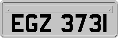 EGZ3731