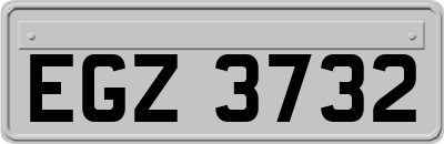 EGZ3732