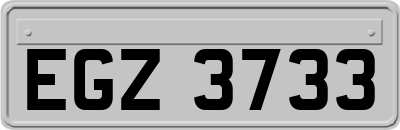 EGZ3733