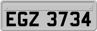EGZ3734