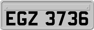 EGZ3736