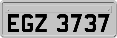 EGZ3737