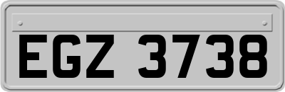 EGZ3738