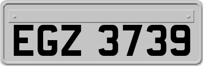 EGZ3739