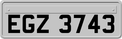 EGZ3743