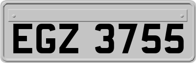 EGZ3755