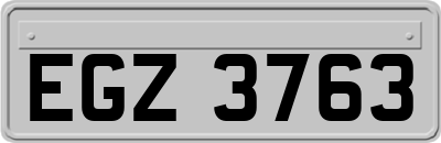EGZ3763