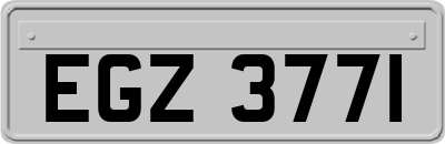 EGZ3771