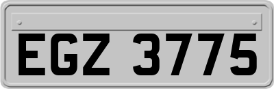 EGZ3775