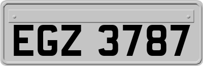 EGZ3787