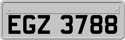EGZ3788