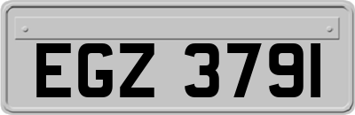 EGZ3791
