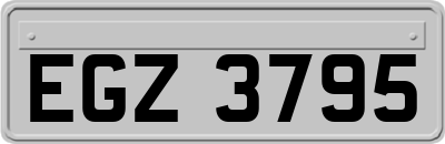 EGZ3795
