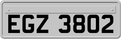 EGZ3802